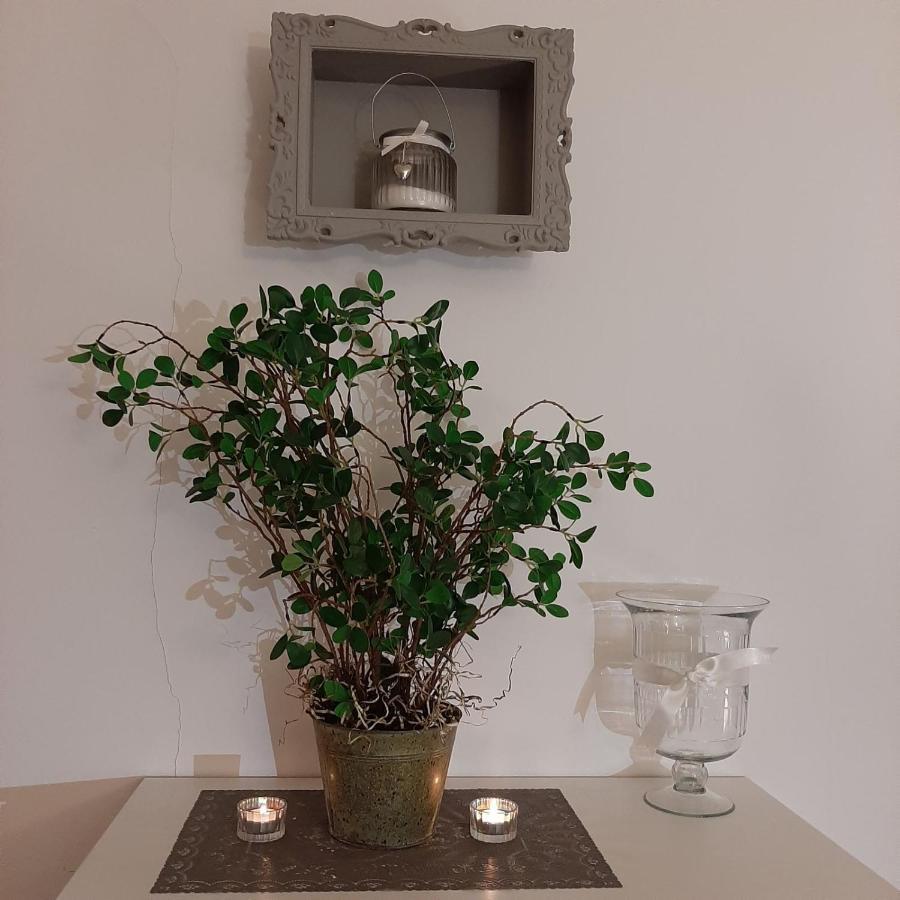 Apartment Lautus Maribor Kültér fotó